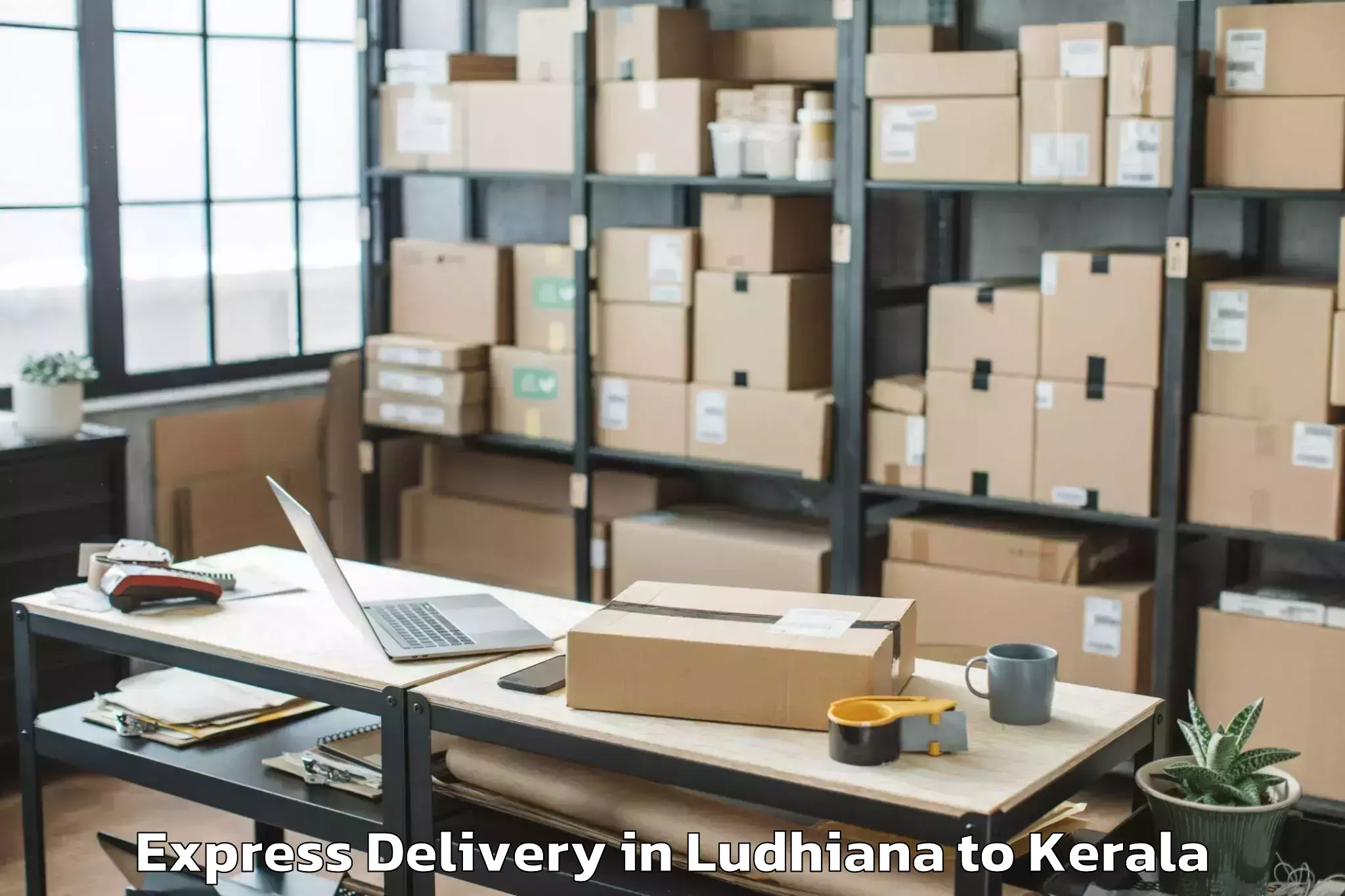 Quality Ludhiana to Shertallai Express Delivery